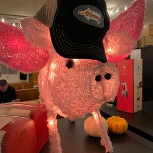 Meet your Posher, Donald